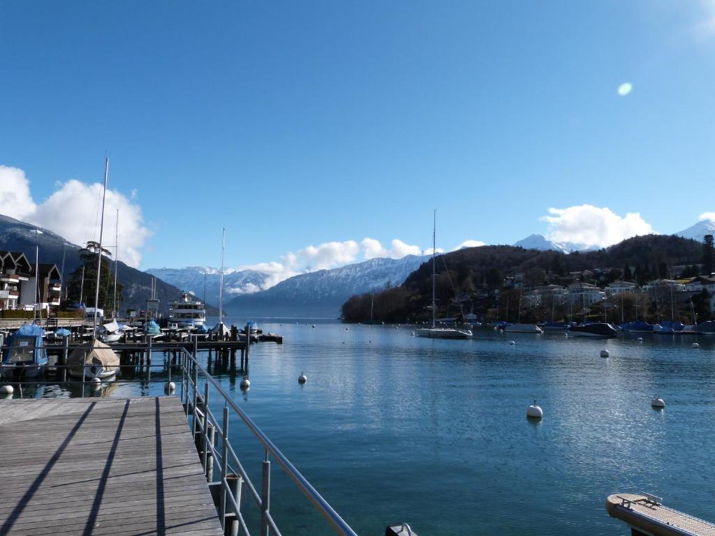 Hotel Hotel-restaurant Seegarten-marina Spiez